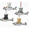 Cats With Fish And Lights