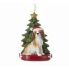 Cavalier King Charles