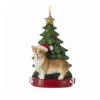Corgi