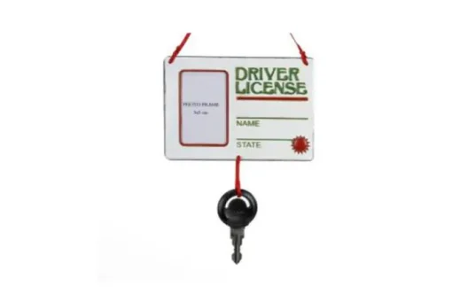 Driver License With Picture