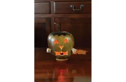 Frankenstein'S Monster