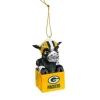 Green Bay Packers Mini Tiki Ornament