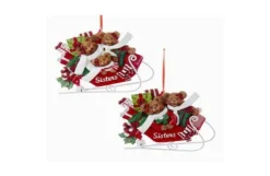 Sister Bears In Sleigh