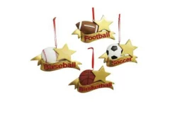 Sports Star: Baseball