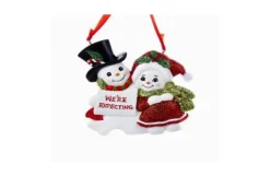 We'Re Expecting Snow Couple